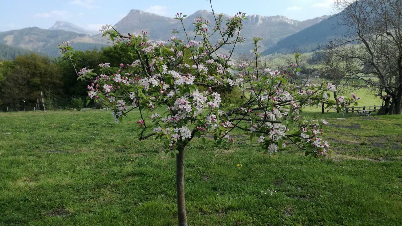 Casa Rural Urkulu Landetxea Arechavaleta Zewnętrze zdjęcie